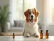 diese-probiotika-hund-studien-solltest-du-kennen
