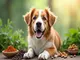 probiotika-gegen-zahnstein-hund-natuerlicher-schutz-fuer-gesunde-zaehne