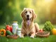 probiotika-hund-allergie-wie-kannst-du-deinem-hund-erleichterung-verschaffen