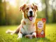 probiotika-hund-enterococcus-faecium-vorteile-fuer-die-darmflora-deines-hundes