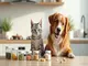 probiotika-hund-katze-was-unterscheidet-die-produkte