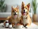 probiotika-hund-und-katze-gemeinsame-gesundheit-fuer-alle-pfoten