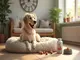 probiotika-hund-wie-lange-die-optimale-dauer-fuer-die-anwendung