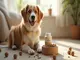 probiotika-hund-wofuer-gruende-anwendung-und-tipps-fuer-hundehalter