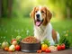 probiotika-hundefutter-die-besten-futtermittel-fuer-eine-gesunde-darmflora