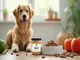 probiotika-till-hund-alles-was-du-fuer-die-darmgesundheit-wissen-musst