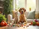 vitamine-fuer-tiere-wie-haeltst-du-dein-haustier-vital-und-gesund
